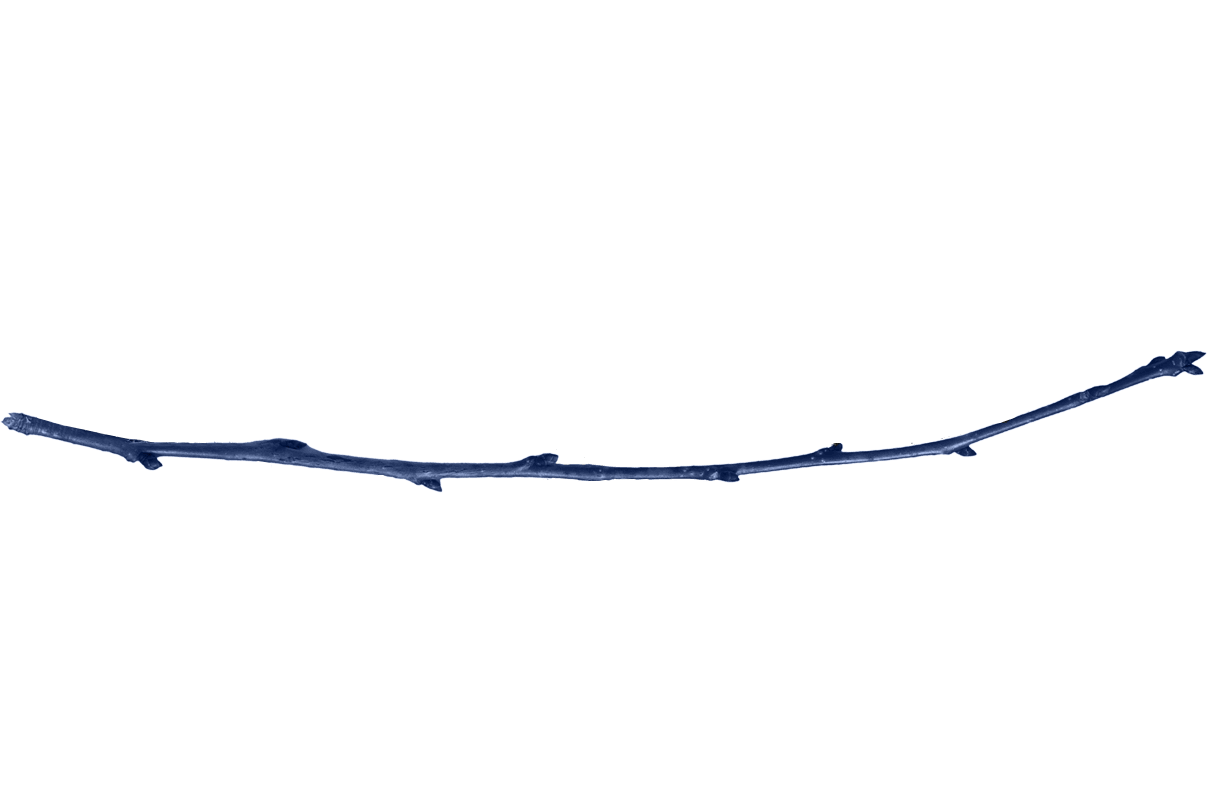 MÉTHODOLOGIE : LA MÉTAMORPHOSE STRATÉGIQUE EGNOKA®